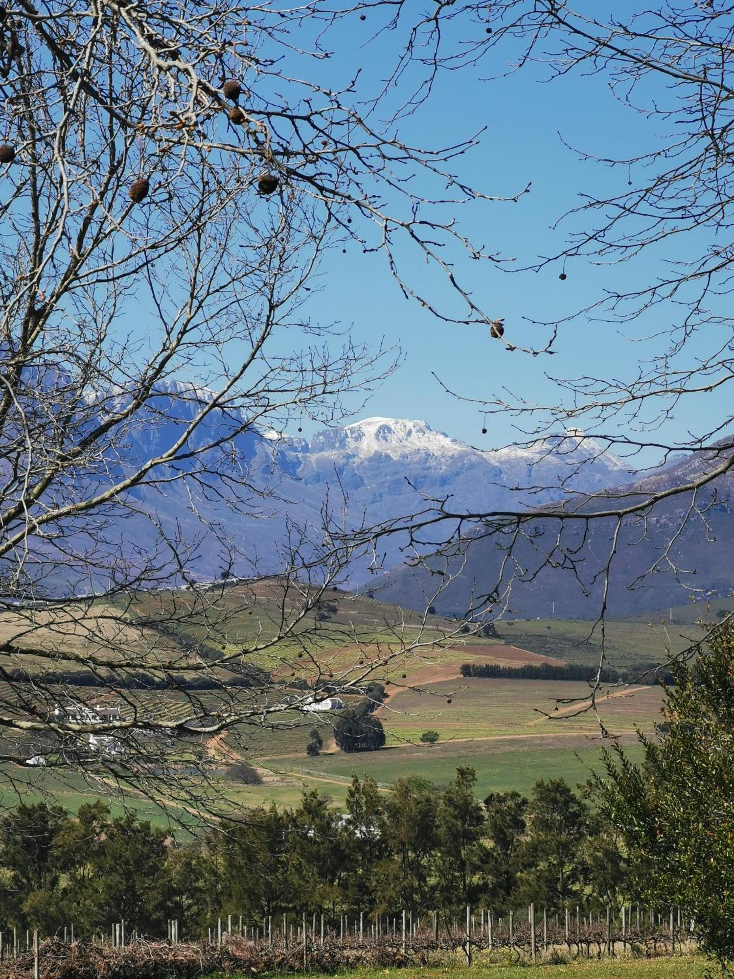 Gemoedsrus Farm Stellenbosch Exterior foto